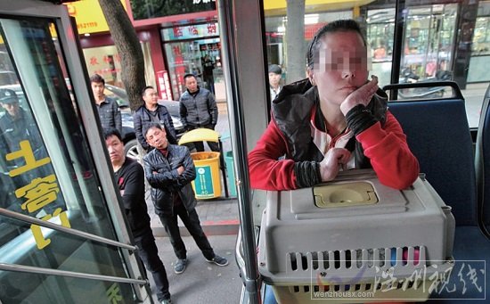 女乘客帶狗上車 溫州42路公交司機(jī)熄火不開