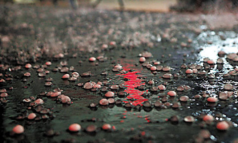 蕭敬騰生日廣東多地降暴雨:廣州下冰雹了