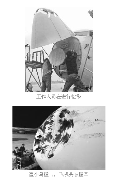 海航飛機被鳥撞凹 機頭雷達罩被撞出大窟窿
