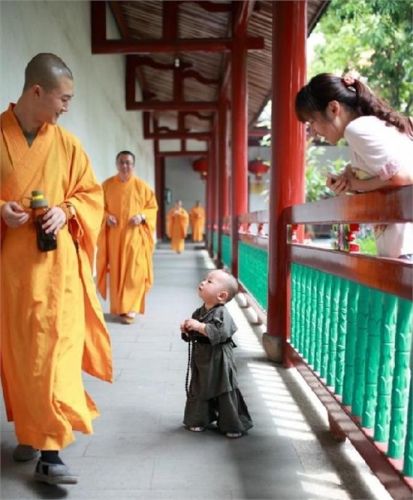 西禪寺小和尚是個萌娃 小和尚只有1歲多