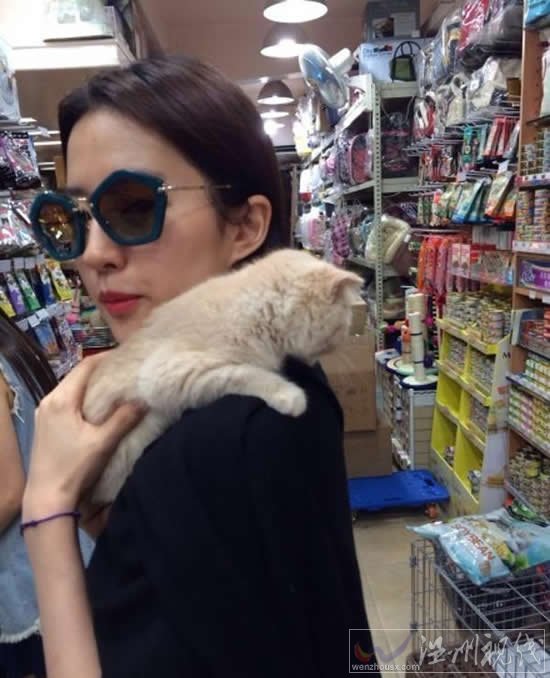 劉亦菲抱貓