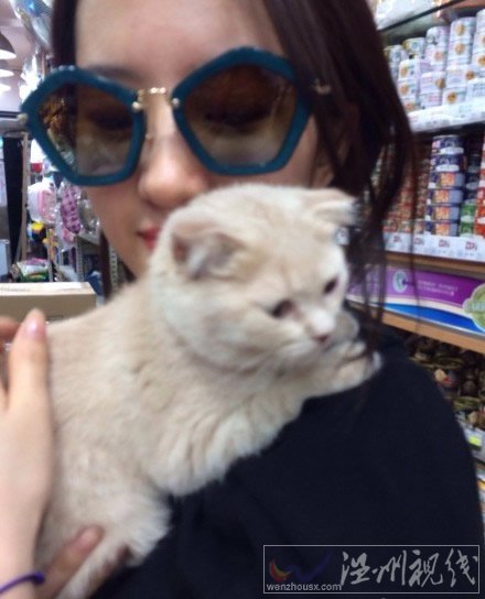 劉亦菲抱貓