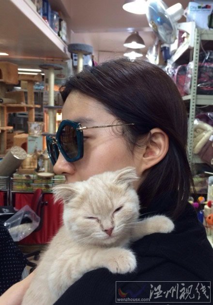 劉亦菲抱貓