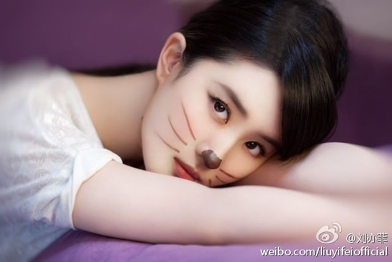 劉亦菲抱貓