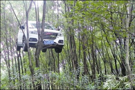 溫州一越野車掛樹上