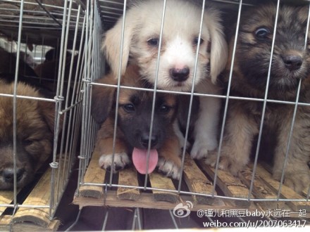 桂林泉南高速貨車自燃