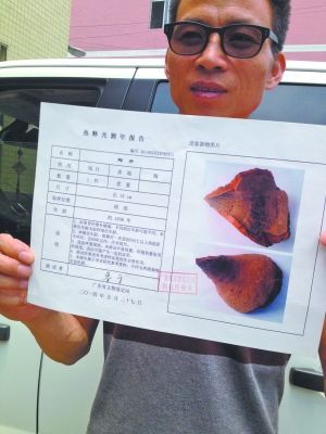 車主倒車撞爛古董 路虎車主被索賠2000萬(wàn)