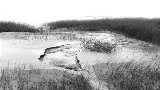 甌江上出現上千平米黑水帶