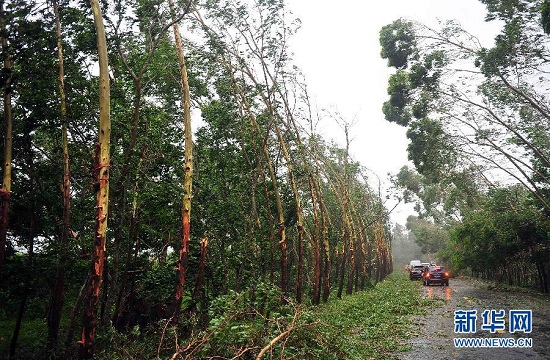 7月18日下午3點半威馬遜在海南省文昌市翁田鎮沿海登陸了