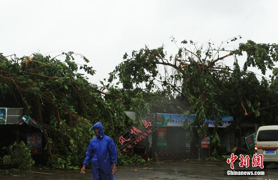 廣西臺(tái)風(fēng)過后街頭一片狼藉