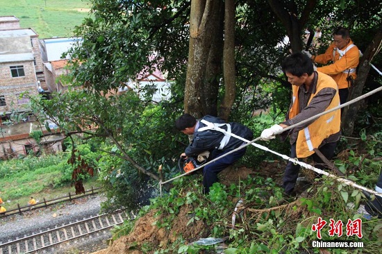 廣西臺(tái)風(fēng)過后街頭一片狼藉