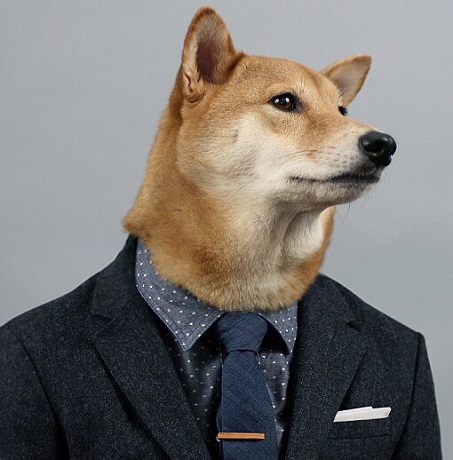 蕭亞軒曬柯震東收養狗狗