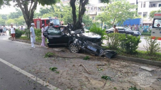 增城荔城大道車禍