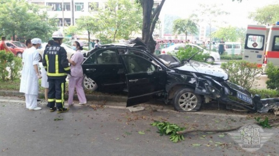 增城荔城大道車禍