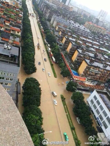 福州市區內澇圖片