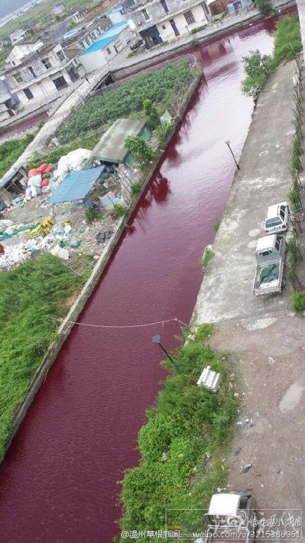 溫州河水一夜變血水
