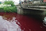 蒼南內(nèi)河河水變紅 水質(zhì)檢查暫未發(fā)現(xiàn)有害物質(zhì)