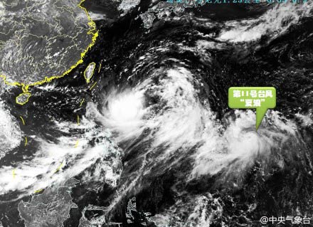 夏浪最新衛星云圖