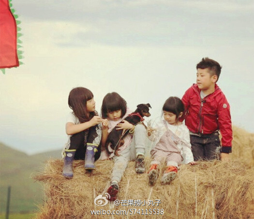 石頭天天加盟爸爸2