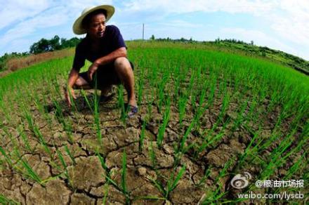 遼寧錦州旱情加重