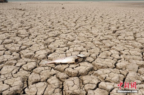 陜西遭受嚴重干旱