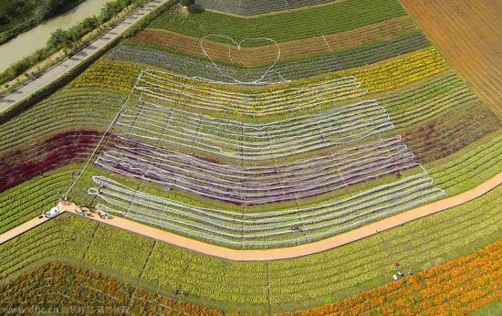 世界上最長的婚紗4100千米