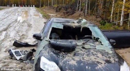 棕熊毀車報復獵人