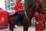 溫州永強古裝迎親 新郎騎馬迎親很拉風(fēng)