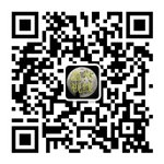 溫州視線官方微信:wzsx0577