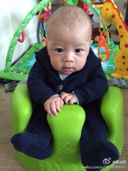 郭晶晶兒子照片