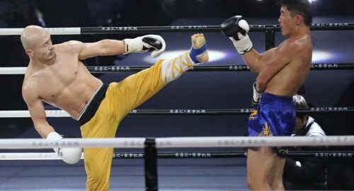 武林風一龍最新比賽