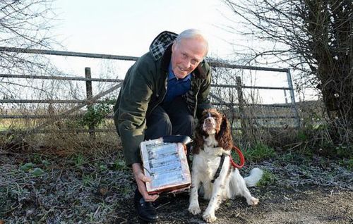 寵物犬撿到鉆石