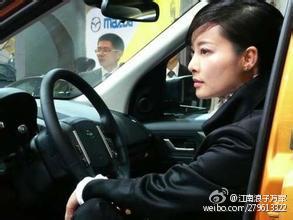 袁立開路虎違章被罰一百