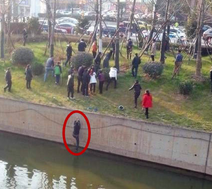 王思聰出軌和張予曦分手