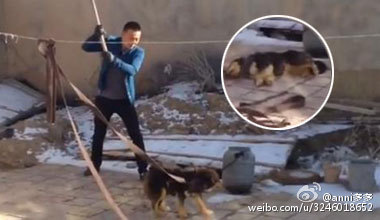 男子用鐵鍬殘忍將狗打死