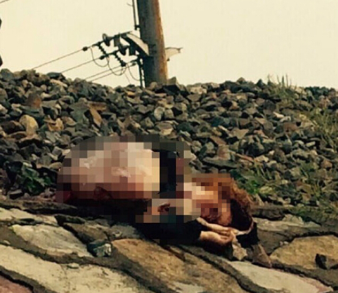 女子戴耳機(jī)過(guò)鐵軌被撞死