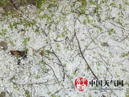 甘肅多地遭遇冰雹