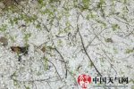 會(huì)寧秦安冰雹災(zāi)害 4月20日甘肅會(huì)寧縣秦安縣遭遇強(qiáng)對(duì)
