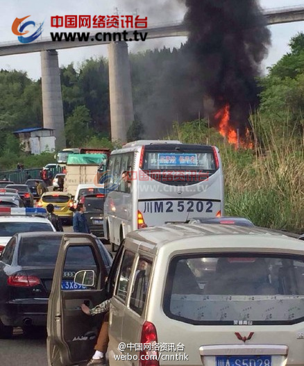 廈蓉高速車禍現場圖片