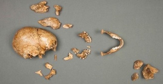 鲇魚腹內(nèi)發(fā)現(xiàn)遺骸