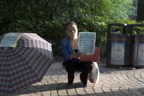 滬漂剩女蘇晶晶照片