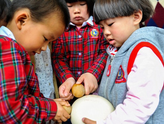 寧波習俗立夏斗蛋