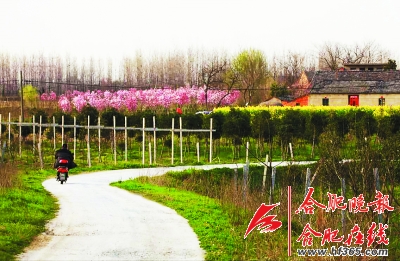 合肥最美鄉村公路