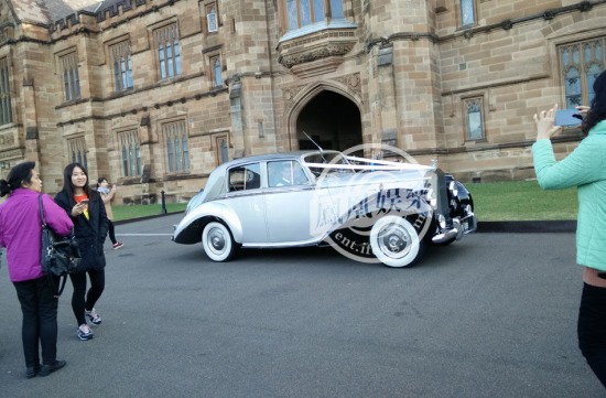 劉強東奶茶拍婚紗