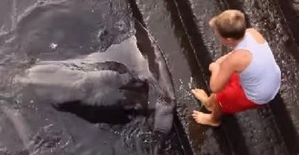 男孩與鰩魚成好友