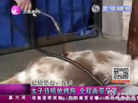 女子持噴火槍烤狗視頻截圖