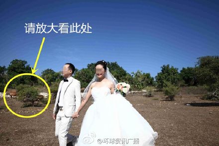 巴厘島婚紗照拍出鄉村味