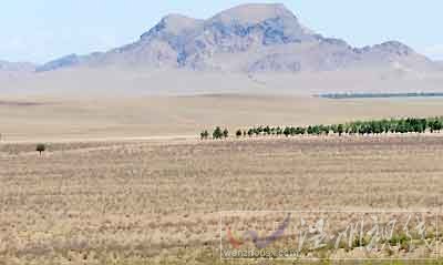 2015年內(nèi)蒙古西部旱情嚴重