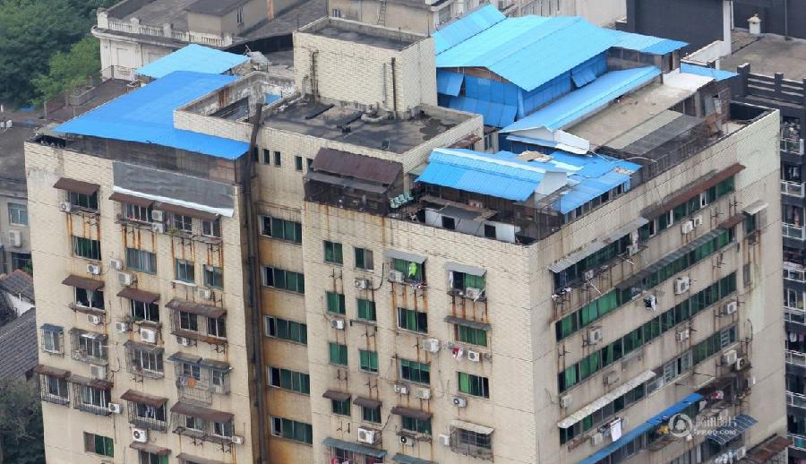 武漢樓頂違建鴿舍