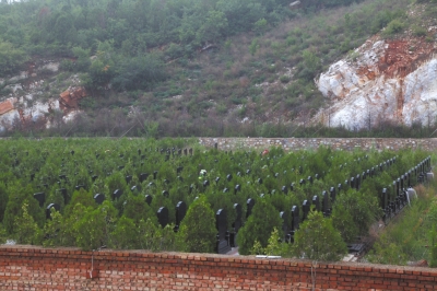 北京現活死人墓 上寫姚明之墓